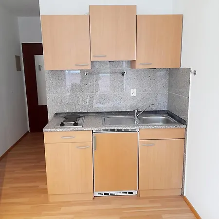 公寓 Laule 2 Self Check In 帕绍